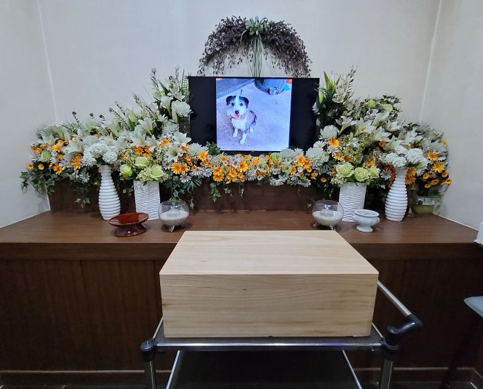 사람의 목숨을 구한 '충견'이었으나, 보신탕집에 넘겨진 복순이. 그 시신을 동물권단체와 시민들이 되찾아 장례를 치렀다. 사진 출처=동물권단체 비글구조네트워크 제공