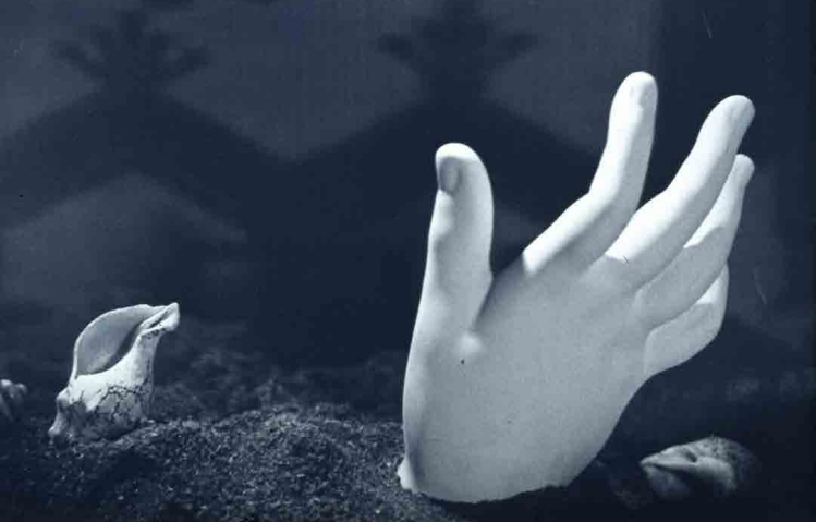 임응식,「정물 2」, 1949, 종이에 젤라틴실버프린트, 25×33cm, 국립현대미술관.