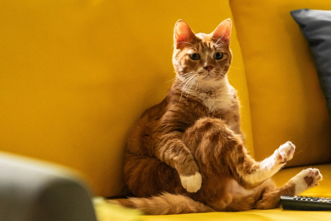 「좀비딸」 스틸컷. 사진 제공=NEW