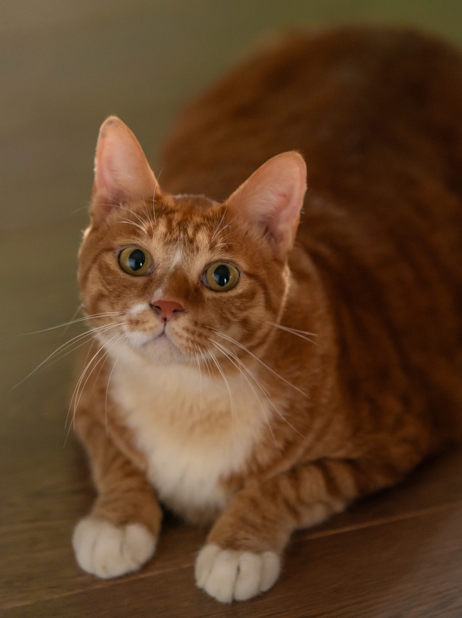 「좀비딸」 스틸컷. 사진 제공=NEW